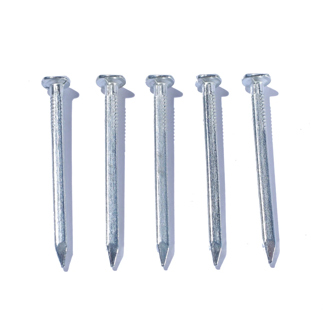 Myanmar Thailand Singapore Market/Galvanized White Zinc Square Boat Nail Concrete Boat Building Nail