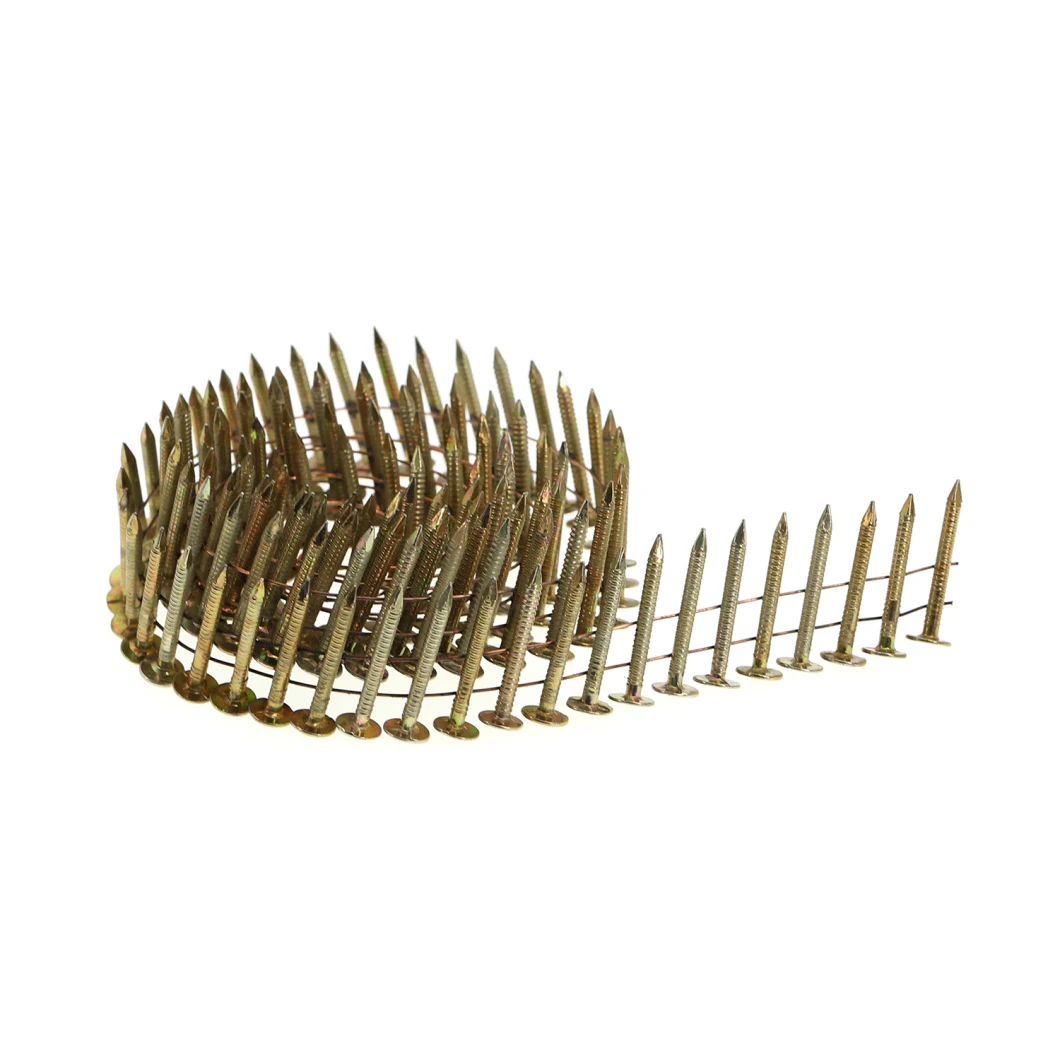 7/8&quot; Length 0.120&quot; Gauge Round Head Diamond Point Smooth Shank Coil Pneumatic Roofing Nails