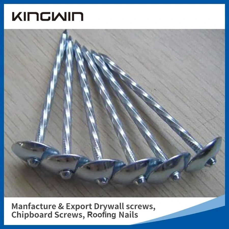 Wholesale Galvanized Smooth / Twisted Shank 2.5&quot; 2&quot; 12bwg 7lbs 8boxes 3.125kg / Box Umbrella Head Roofing Concrete Common Water Pipe Nails