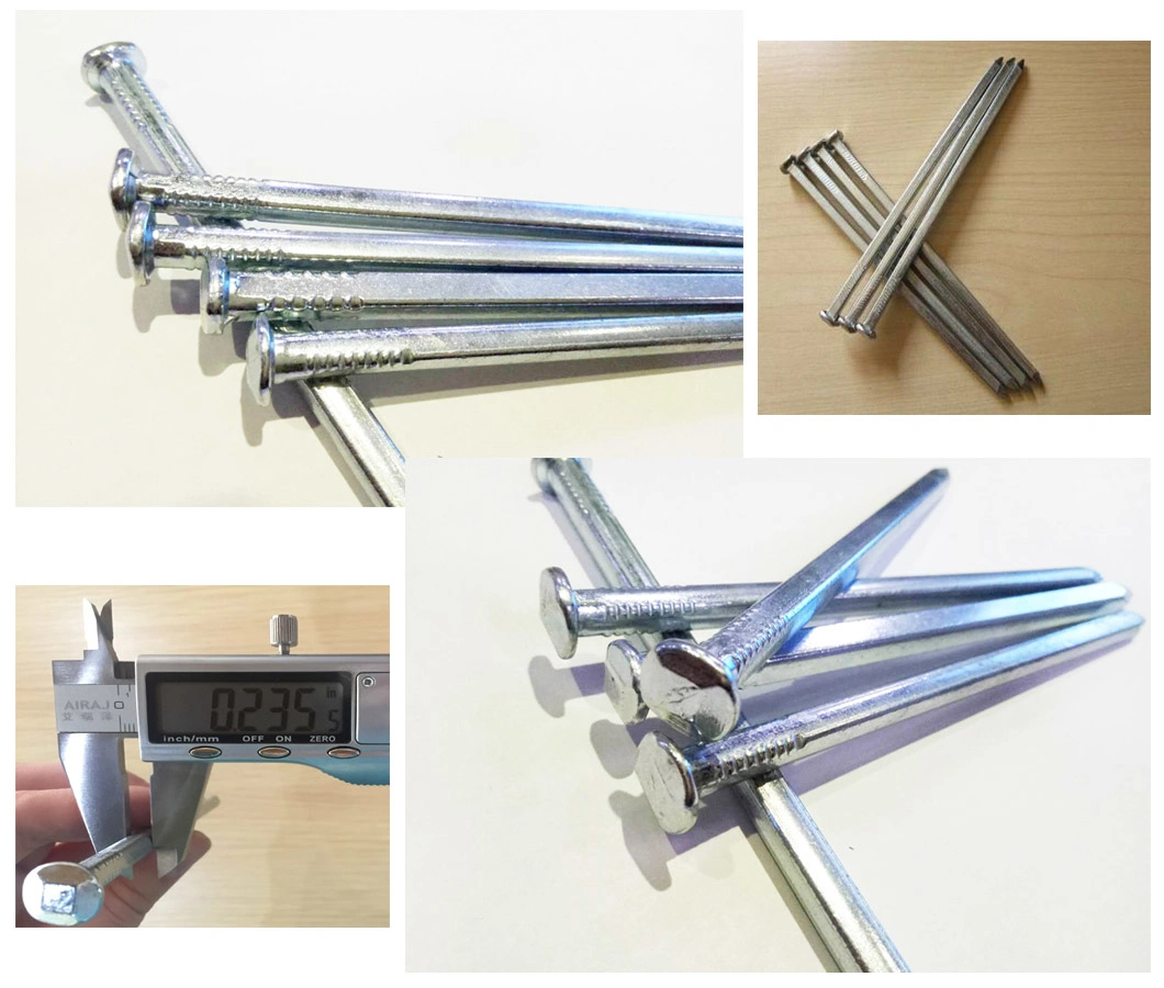 High Quality Electro Galvanized HDG Square Boat Nail