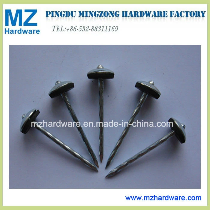 Galvanized Umbrella Head Twisted Shank Assembled Roofing Nail with Washer