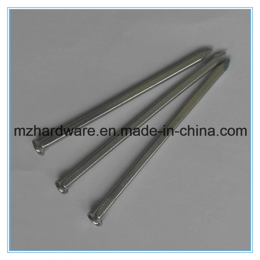 Q195 Good Price and Great Quality Polished or Galvanized Square Boat Nail 6&prime; &prime; (Mainly for buiding boat)