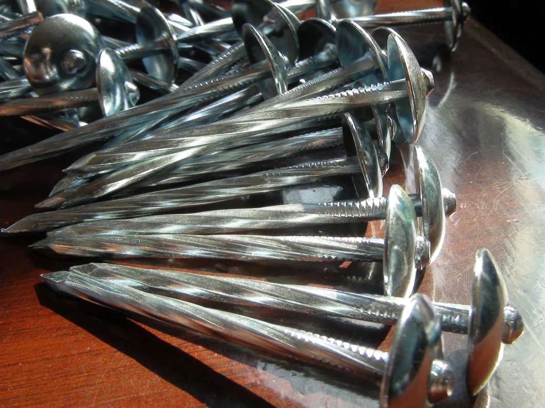 Galvanized Steel Wire/Screw Bolt &amp; Nut /Q195/0.8-4.0 Inch/Concrete/Nails