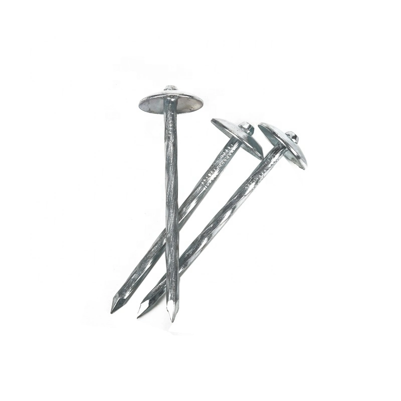 Galvanized Roofing Nails Umbrella Head Twisted Shank and Galvanized Self Drilling Screw