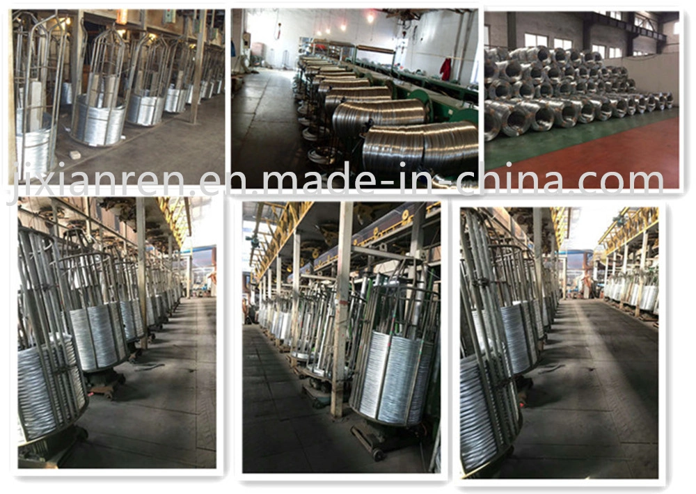 Q195/Q235 Factory Price, Full Range and Fast Delivery Common Wire Nail