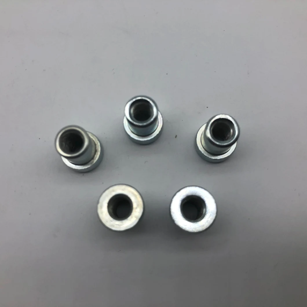 Socket Nut Round Head for Furniture Hardness Decorate