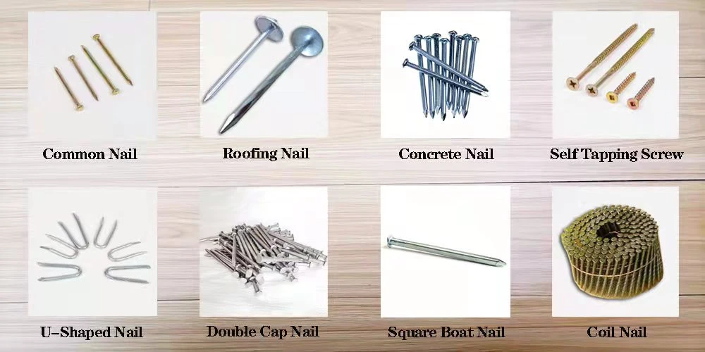 Galvanized Umbrella Head /Twisted Shank/Q195 Q235 Roofing Nail