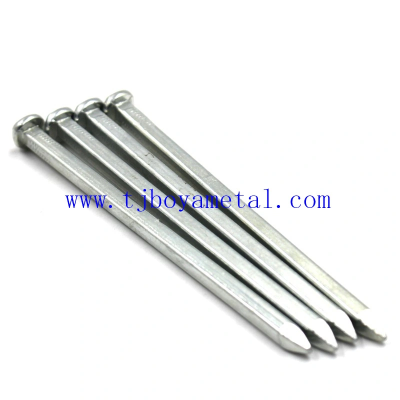 Galvanized Square Shank Iron Nails for Boat and Building