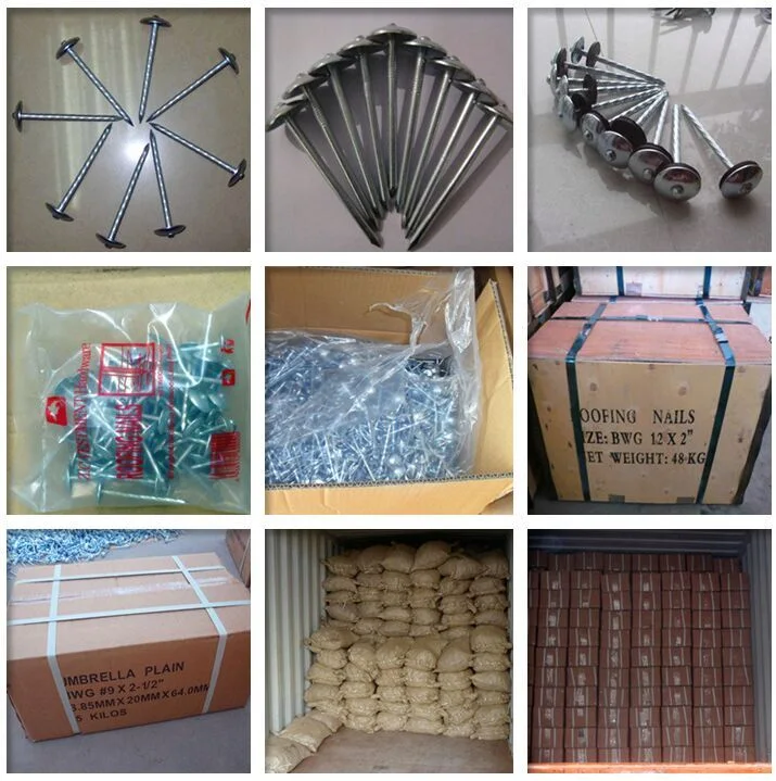 Factory Manufactured Cheap Price 2&quot; 2.5&quot; Galvanized Roofing Nails Smooth/Twisted Shank Umbrella Head Concrete Nails /Cupper Nails /Shoe Tack /Twisted Nail