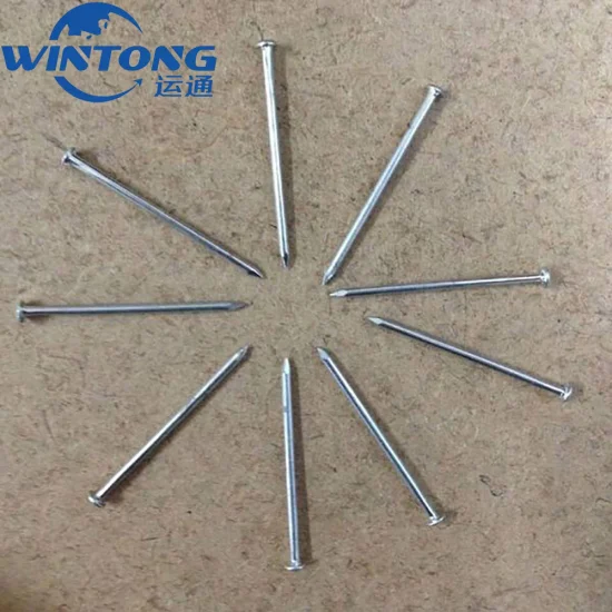 Electronic Galvanized Square Nail/The Square Boat Nail