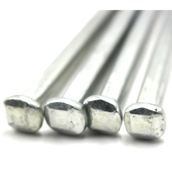 Hot Sale Galvanized Square Boat Nail/Polished Boat Nail From Tainjin Boya with Good Quality