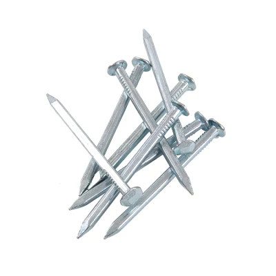 Vietnam Philippines Singapore Market/Electro Galvanized Square Boat Nails for Boat