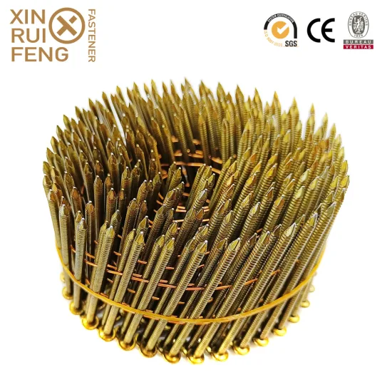 China Factory Wholesale Hardwarebest Quality 15 Deg Wire Coil Nail Smooth Shank HDG High Standard Paint Screw Shank/Ring Shank Coil Nails Coil Roofing Wire Nail