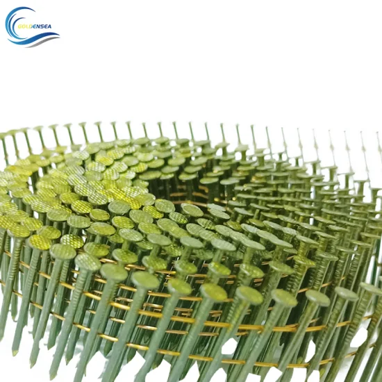 High Standard Pallet Coil Nail Iron Wire Bulk Coil Nails