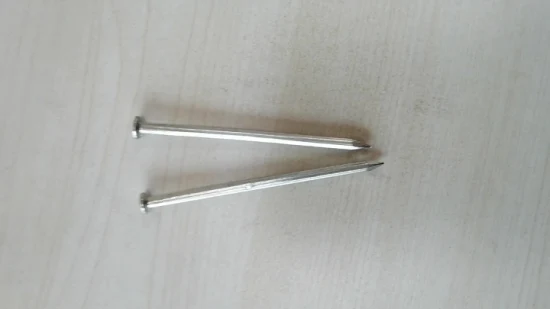 High Quantity Concrete Nail (Galvanized) /Masonry Nail/Steel Nail/Hardened Steel Nail