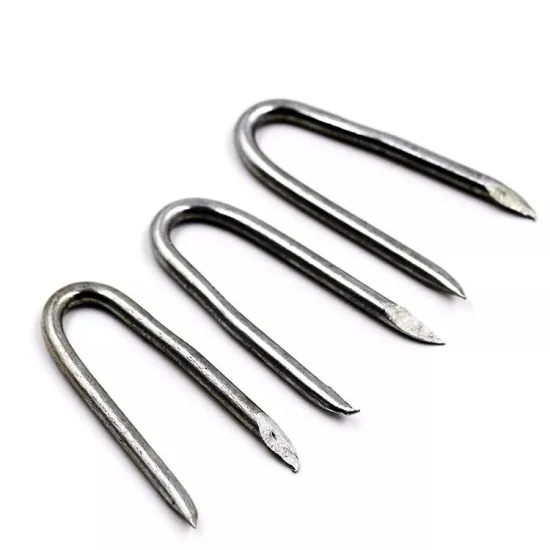 High Quality U Type Nails/Fence Staples/U Shaped Nails