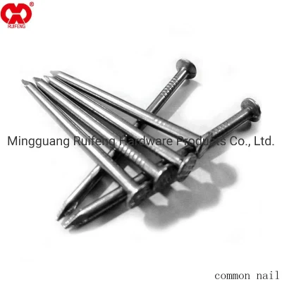 Common Nail Top Selling Bulk Nail