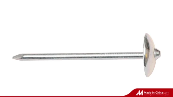 Umbrella Head Smooth or Twisted Shank Galvanized Roofing Nail with Washer or Without Washer (Bwg9 2.5