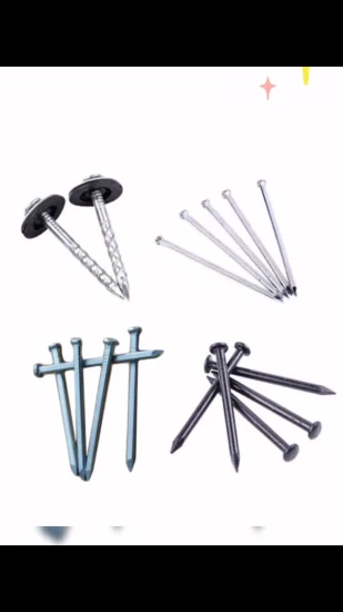 Furniture Accessories Fastener Common Wire Nail