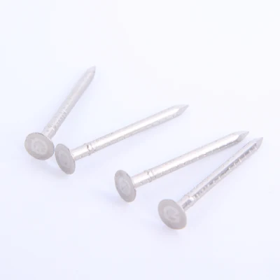 China GB ISO Roofing Nail Framing Concrete Wire Carton Staple Fastener Nails