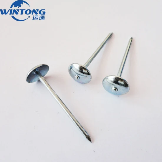 Galvanized Umbrella Head /Twisted Shank/Q195 Q235 Roofing Nail