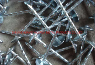 Twisted Roofing Nails for Kenya Market