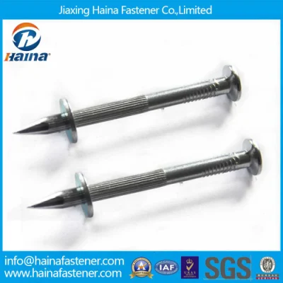 Steel Coil Nails for Wooden Pallet Screw Shank Nail Non-Point Nail